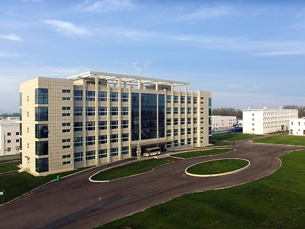 SG胜游原料药出口基地